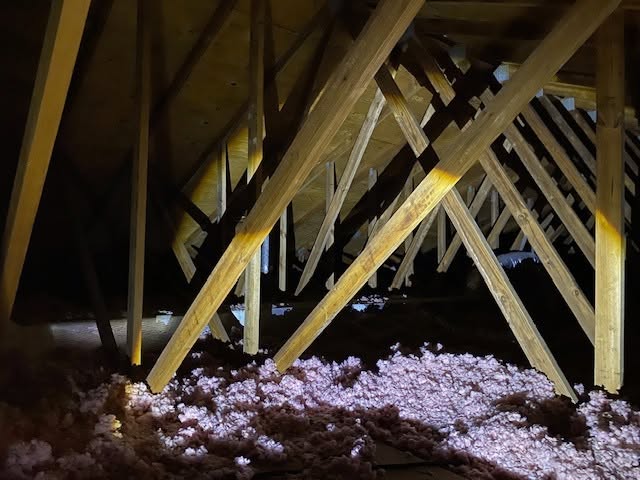 Michael's Termite & Pest Control work photo &mdash; The Villages & Ocala, Florida