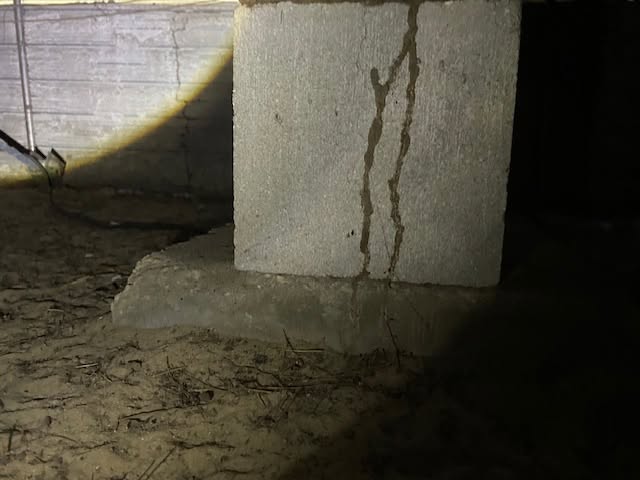 Michael's Termite & Pest Control work photo &mdash; The Villages & Ocala, Florida