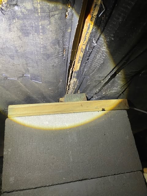 Michael's Termite & Pest Control work photo &mdash; The Villages & Ocala, Florida
